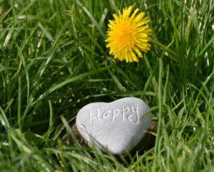 Foto de una piedra y un girasol sobre un césped